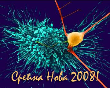 Srećna Nova 2008!